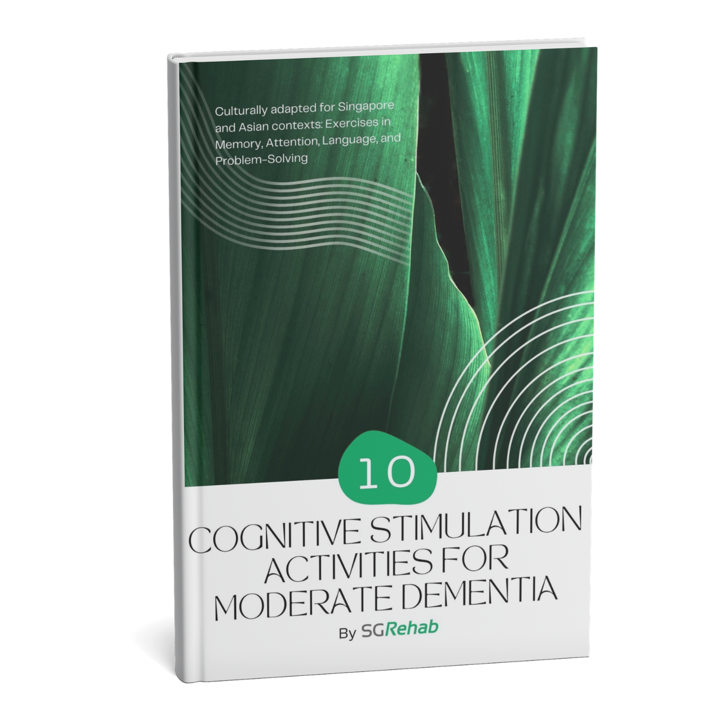 Book titled 'Cognitive Stimulation Activities for Moderate Dementia' by SG Rehab on a white background