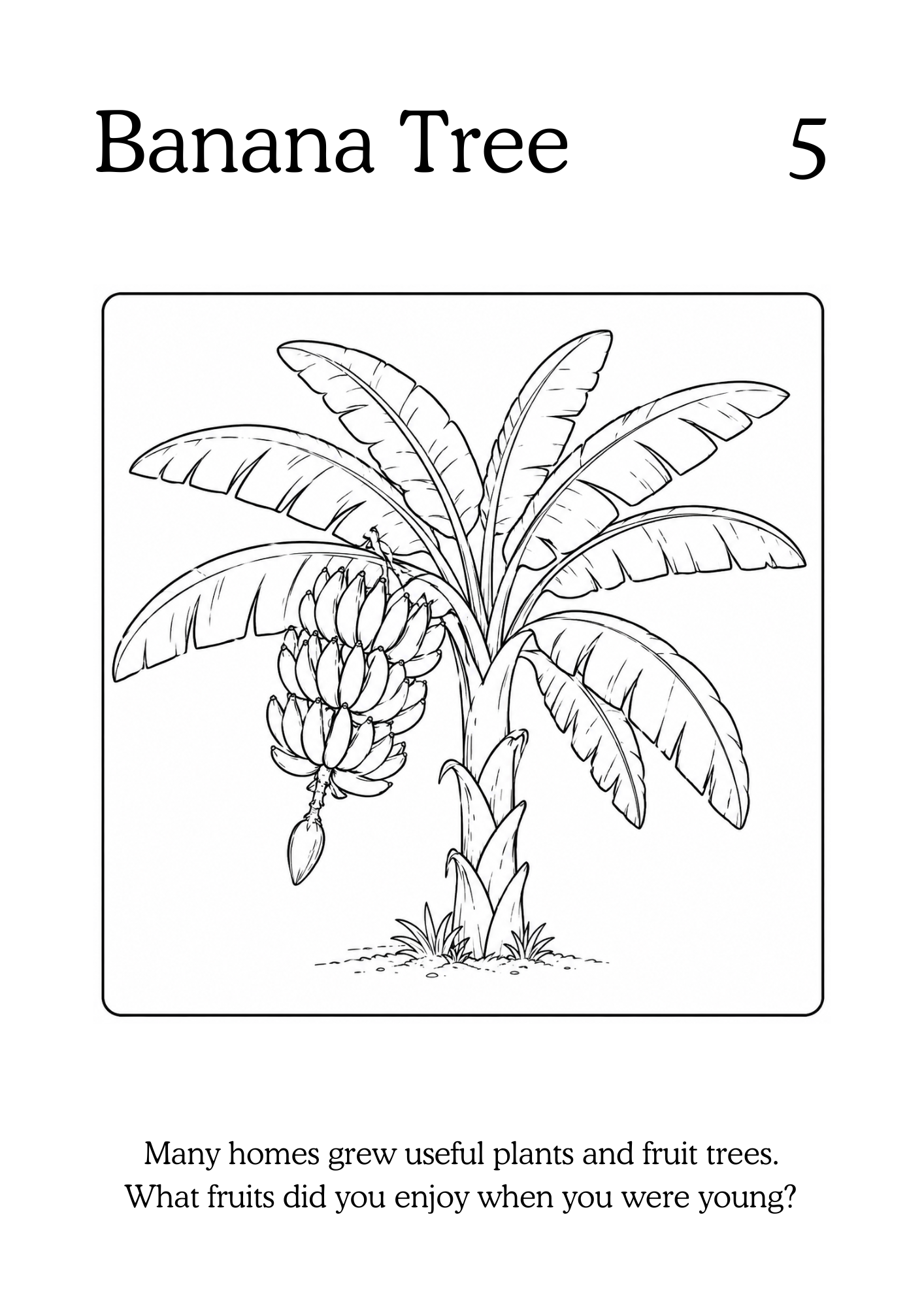 Black and white illustration of a banana tree with bananas, labeled 'Banana Tree ', on a white background.
